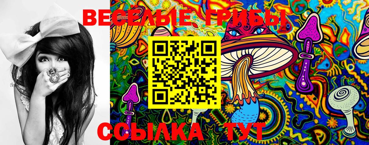 Галлюциногенные грибы Cubensis Новошахтинск