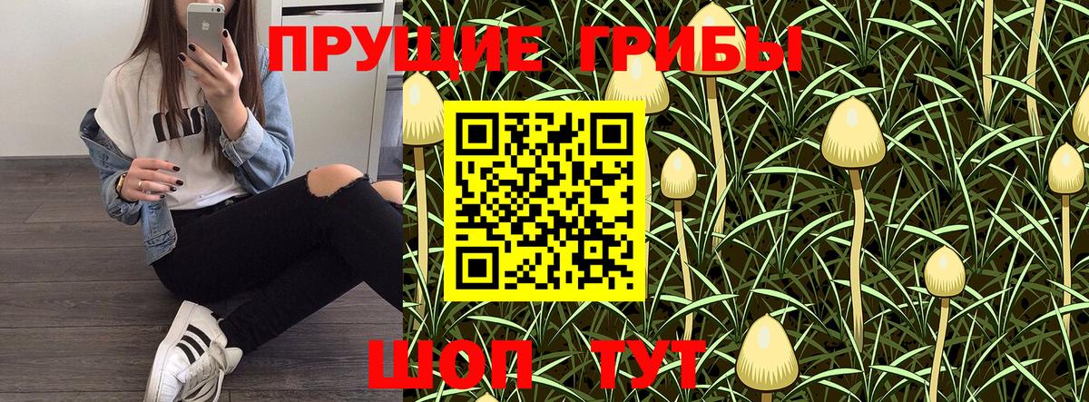 Псилоцибиновые грибы Psilocybe  Псилоцибиновые грибы прущие грибы  дарнет шоп  Вход с VPN  Новошахтинск 