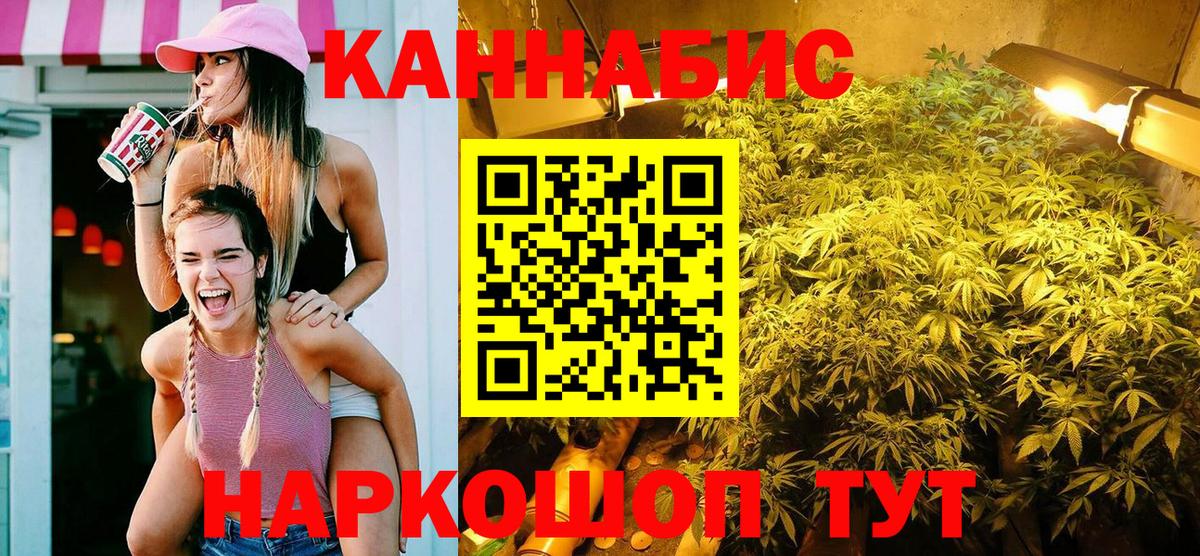 Конопля планчик Новошахтинск